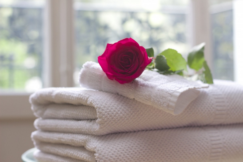 hotel-SAUZE-min_towel_rose_clean_care_salon_spa_white_bath-731641